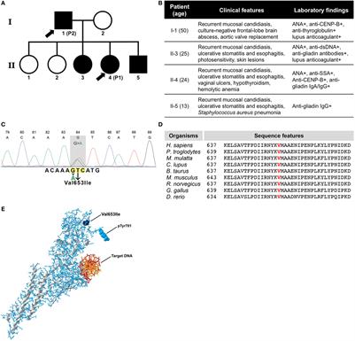 A Novel Heterozygous Mutation in the STAT1 SH2 Domain Causes Chronic Mucocutaneous Candidiasis, Atypically Diverse Infections, Autoimmunity, and Impaired Cytokine Regulation